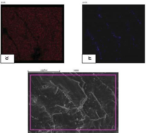 The microstructure and chemical composition were investigated using XRD, SEM, and XRF.