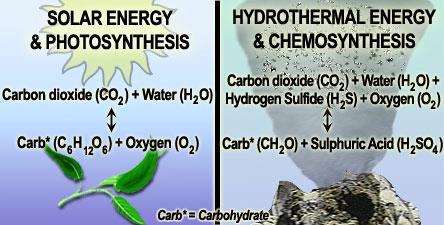 Phototrophic organisms use photosynthesis and contain