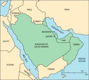 The Gulf Co-operative Council (GCC) o Saudi Arabia, Kuwait, Oman, United Arab Emirates, Bahrain and Qatar o Total population estimated at 45 million inhabitants.