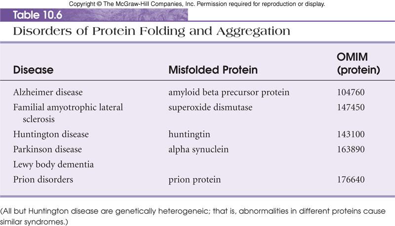 Misfolding of Protein Impairs