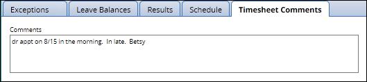 Timesheet Comments Tab The Timesheet Comments tab can be used for any additional comments you may need to add to your timesheet for the pay period.