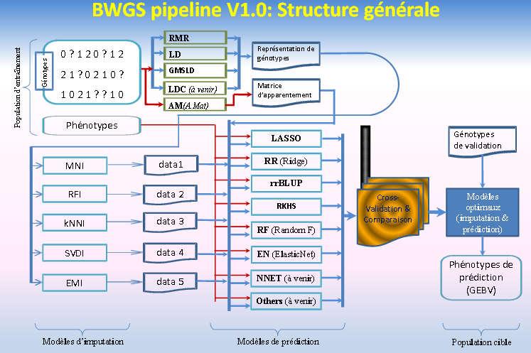 WP4: Design, implementation and evaluation of novel breeding strategies (G.