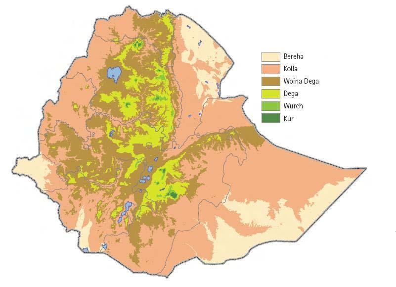 Agroecological zone mean temperature ( C) Annual rainfall (mm) Bereha ( Less than 500m) 28.4 ± 0.1 327.9 ± 17.9 Map source : IFPRI Atlas Kolla (500 to 1500 m) 25.