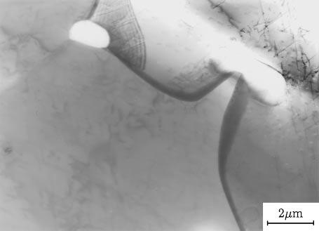 Figure 2 shows typical electron micrographs of the grain boundary (a) and Ti carbide (b) in the specimen T2 (0.025%C), heat treated by the process SFA.