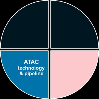 ATACs: Pipeline of Proprietary and Partnered Programs Additional proprietary ATACs in research and preclinical development Targets: PSMA,