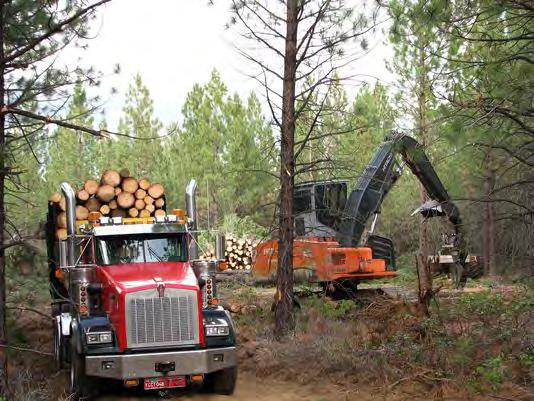 2. Forest Residuals Forest woody biomass $44 / BDT Sawmill residuals (shavings, sawdust) $42 - $46 /