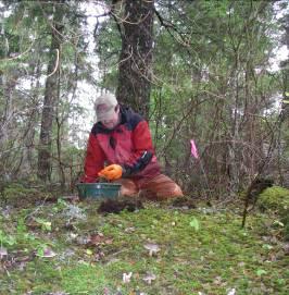 Archaeology & Heritage Resources So far, have identified 5 sites protected by Heritage Conservation Act and one designated site (Dominion Yukon Telegraph Line) on the Regional District of Kitimat