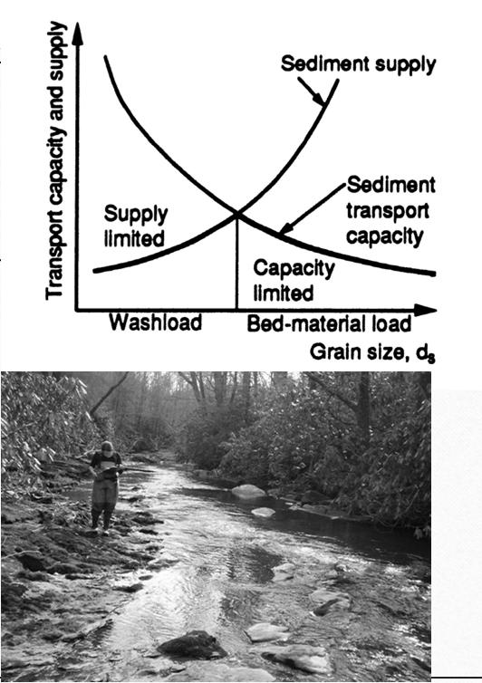 Alluvial Threshold Stream Ecology (L3