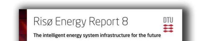 Risø Energy Report 8 The report