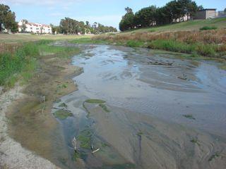 San Diego Creek Bio-assessment Sites