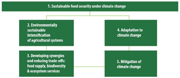 The Joint Programming Initiative on Agriculture, Food Security and Climate Change (FACCE-JPI) aims to build an integrated European Research Area addressing the challenges at the crossroads of