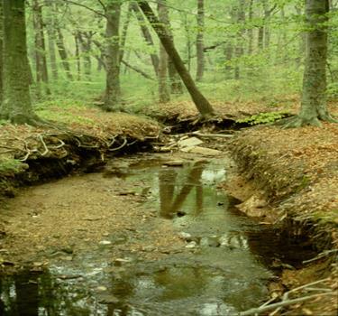 To ensure these streams are protected, consider the following management approaches: Restrict subwatershed impervious cover to less than 10% Extensive land conservation retain more than 65% forest,