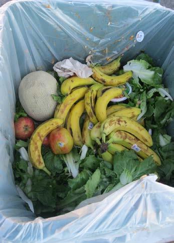 The Impact of Global Food Waste If we could save ¼ of the food lost or wasted across the globe today, it would be enough to feed the 800 million hungry global citizens WRI notes global food waste of