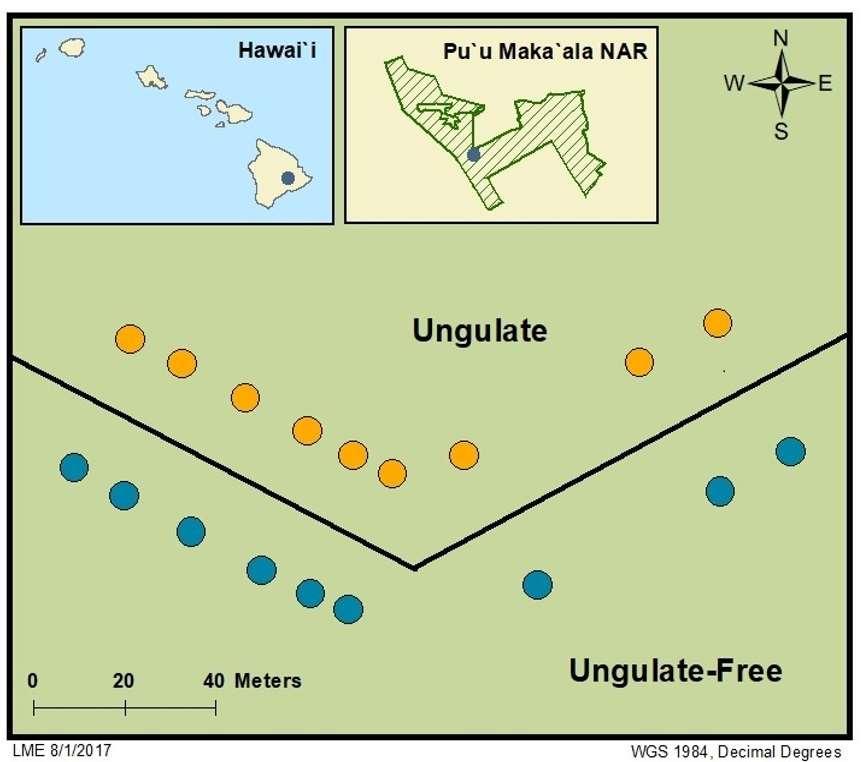 Appendix Appendix I: Soil sampling at Pu`u Maka`ala Natural Area Reserve Appx.