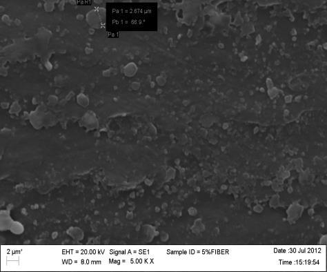 (E) and (f) pure HF (F). 3.4. Scanning electron microscopy Figure 7 shows the scanning electron microscope (SEM) images of the impact-fractured surfaces of one specimen from each composition.