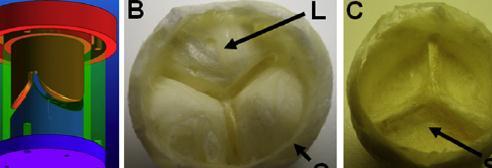 (f,i) The morphology of the MC scaffold produced using a round patterned collector and showing the locally increased pore size. (g,h) The microstructure of the 5% PCL- TIPS scaffold.