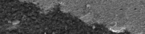 In the dynamically recrystallized region very fine recrystallized grains are observed through scanning electron microscopy (Figure 4.11). Figure 4.