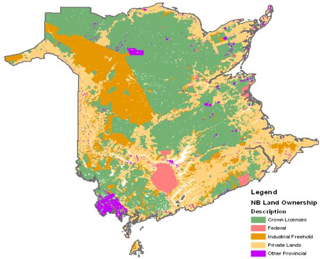 B) New Brunswick Supply Base a) Total Supply Base Area (ha): Cumulative forest area of all forest types within SB New Brunswick forests cover more than 6 million hectares of the provinces 7 million