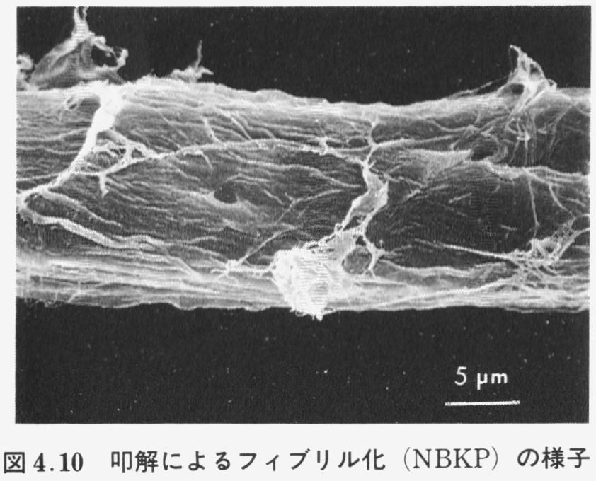fibers after beating Beating change of paper structure Beating change of fibers internal