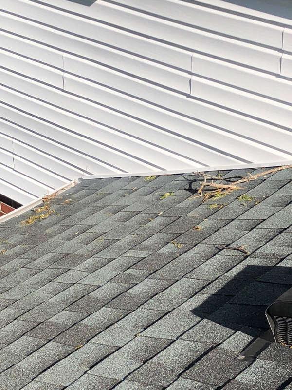 Tree debris observed on roof.