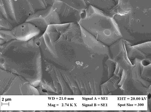 SEM micrograph of surface of (5%) Sm: Y 2 O 3 Fig. 8.