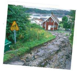 2004 The operational ideas for Swedish National Platform To create a safer Sweden by reducing the risks of natural disasters and enhancing society's ability to cope with them To be an arena for