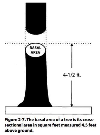 BASAL AREA PER ACRE Units: square feet/acre Combines the number of trees and their size Ranges from 0 (no trees) to >250 sq.