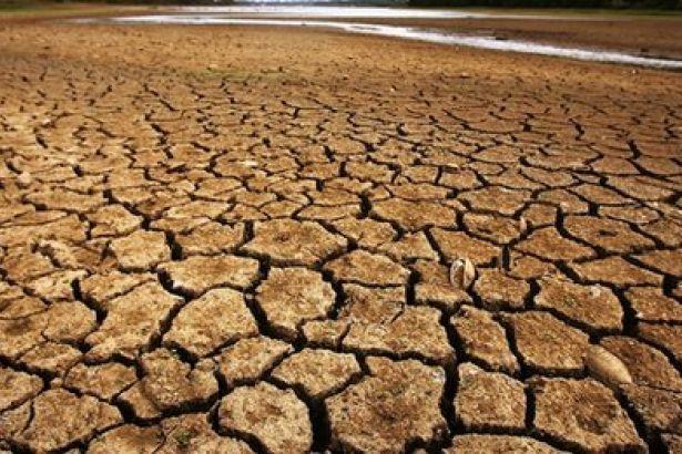 Water Shortage: Sustainability of Water Resources ü Up until the year 2023, 17% more water will be needed in order for developing countries to cultivate food products.