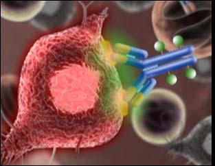 BT-062: Immune conjugate shows signs of efficacy in treating