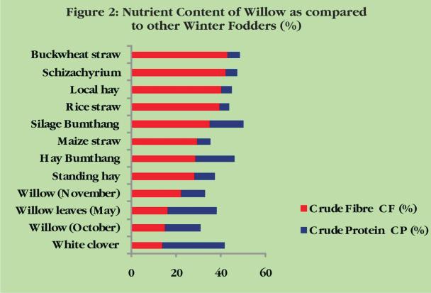 In order to ensure better feeding quality of silage, the best time observed for ensiling the willow twigs and leaves is between mid October and end of November.