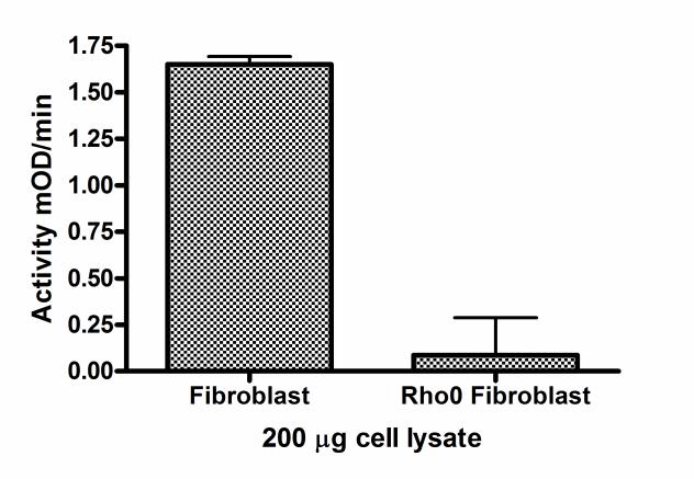 As examples: (A) the assay was used to determine the Complex I activity in normal fibroblasts and rho0 fibroblasts (cells in which the mtdna is