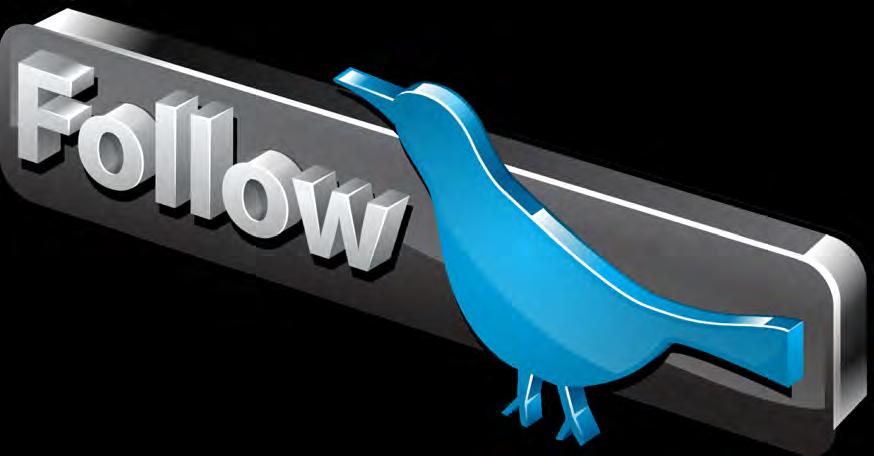 Twitter For Your Business