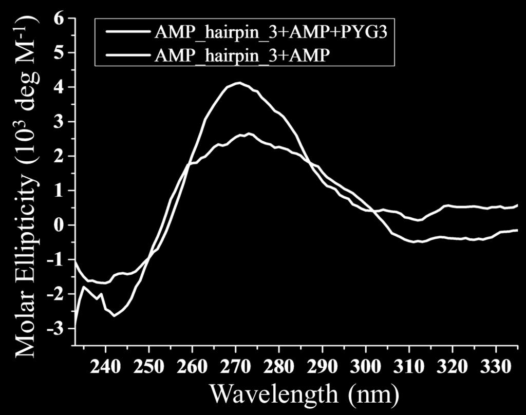 seizes of AMP-TG-hairpin sequences by the