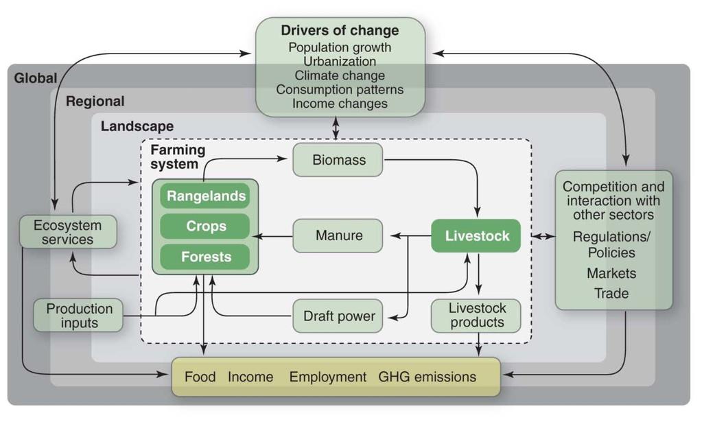Key interactions in farming systems