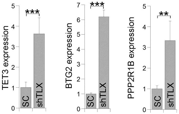 Supplementary Fig. 8 Regulation of TET3 and targets in TLX knockdown GSCs in vivo.
