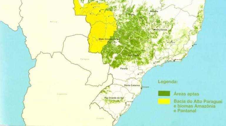 2. It does not allow sugarcane production to expand on any type of native vegetation (Cerrados, Campos,