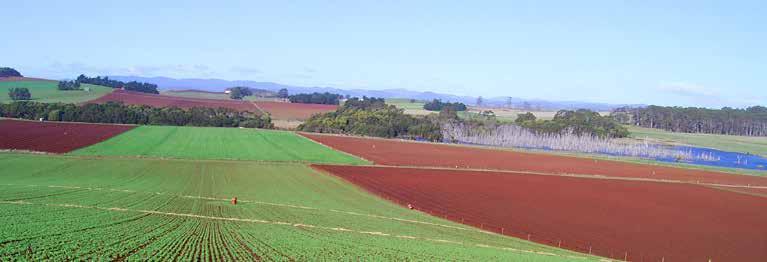 Introduction Broadacre cropping (includes cereals, oilseeds, lupins, sugar cane, legumes, hops, cotton, hay and silage) is an important industry in Tasmania, contributing almost $198 million or 18