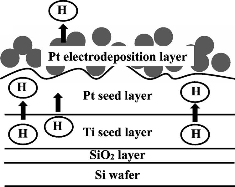 Journal of The Electrochemical Society, 152 10 C688-C691 2005 C691 Figure 8. Surface illustration of hydrogen and the Ti seed layer.