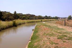 Irrigation scheme level