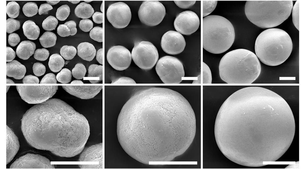 Supplementary Figure 8: SEM images of the as-prepared samples used in the current study: