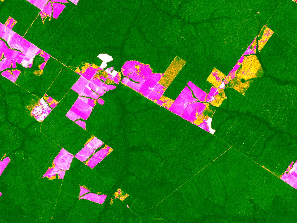 Mapping Burned Forests with Landsat Image