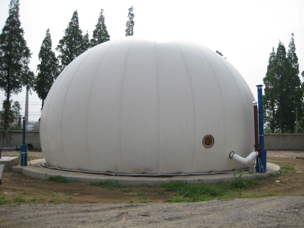 Village Biomass Syngas