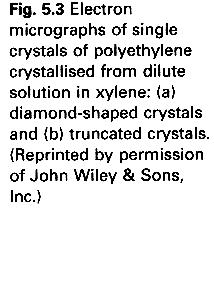 Amorphous polymer = only amorphous region Crystalline