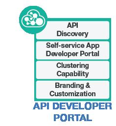 Architecture Overview Core Capabilities Provides API monitoring & analytics functionality and allows the creation of