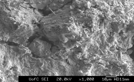 and M7 cracks pores Figure 5 SEM picture of a of a cylinder made with 2%CC and fired at 900 C