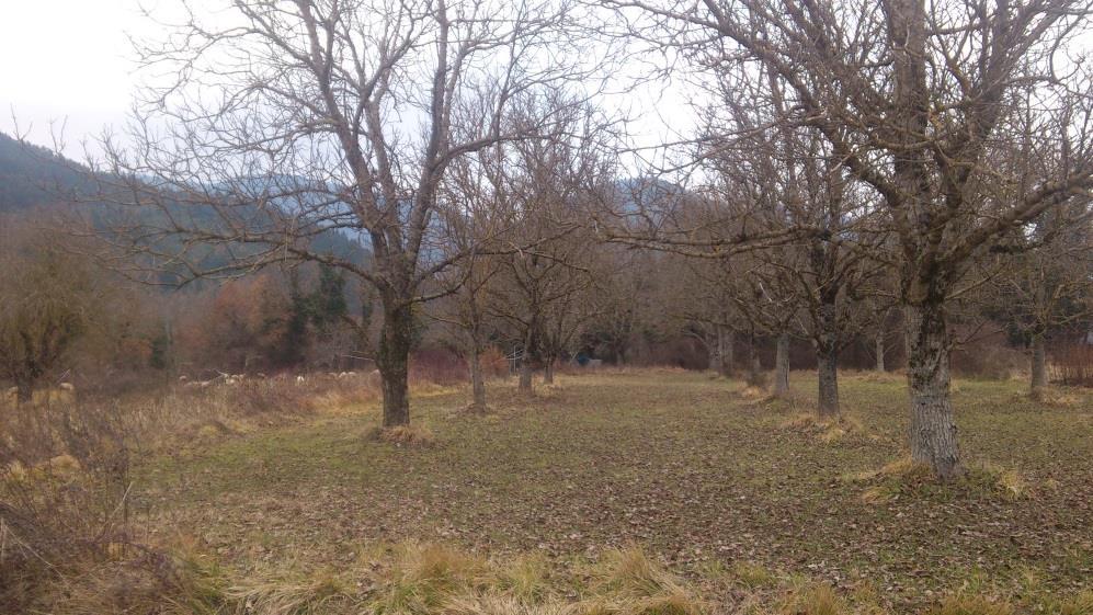 2 1. Context The AGFORWARD research project (January 2014-December 2017), funded by the European Commission, is promoting agroforestry practices in Europe that will advance sustainable rural