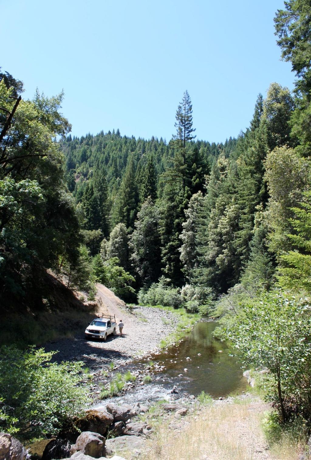 California Forest Project Types California allows forestry activities that reduce or avoid greenhouse gas emissions to generate offsets for use in the carbon market.