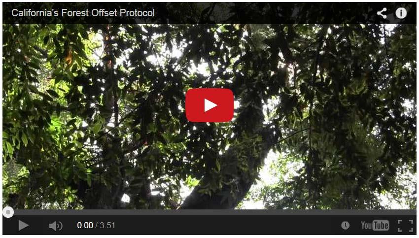 Integrity of Offset Supply and the System Forest carbon offset projects must meet strict environmental, social, and technical criteria to comply with state regulations.