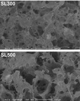 Electrospun nanofiber scaffolds: engineering soft tissues.
