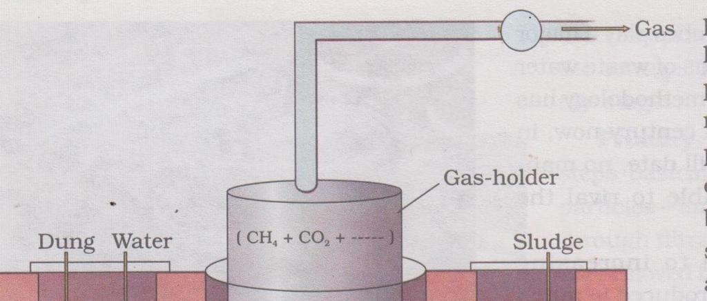 SECTION C 19. Draw a labeled sketch of a typical biogas plant.